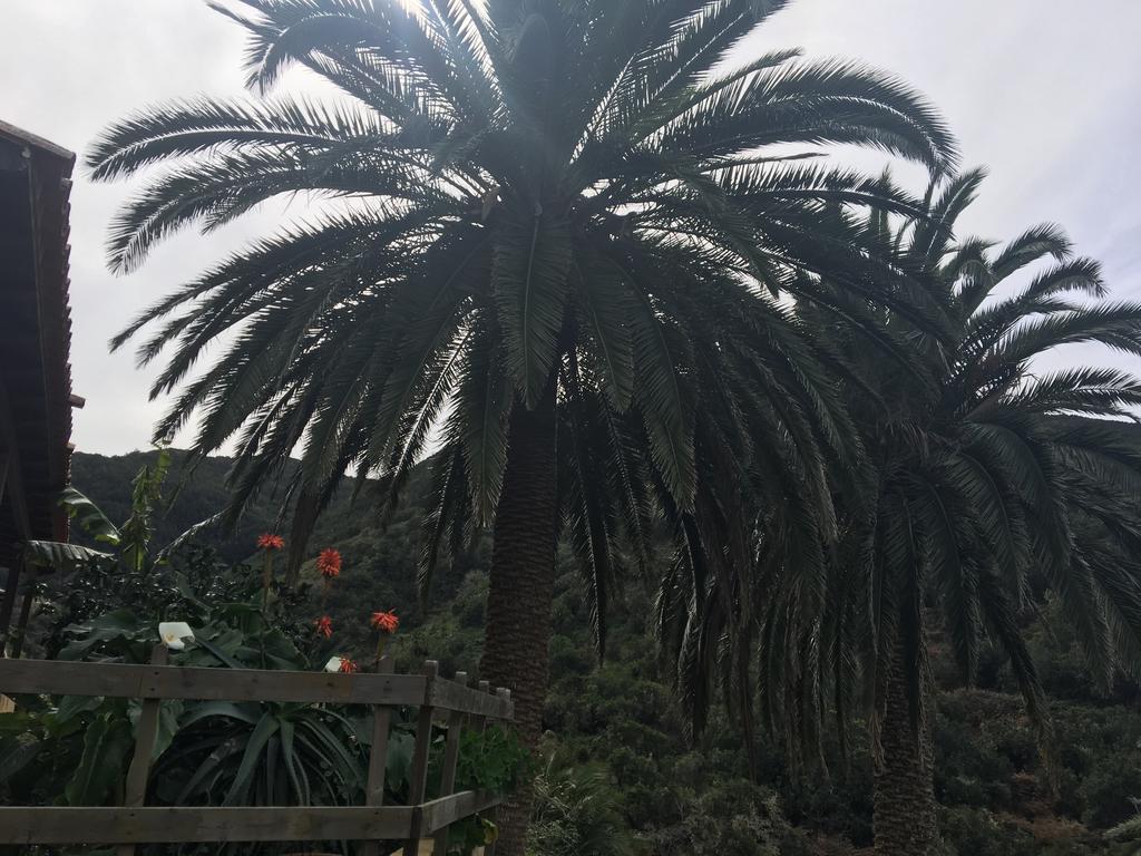 Casa Rural El Rincon De Antonia Agulo エクステリア 写真
