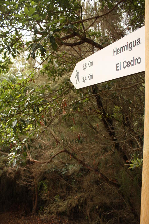 Casa Rural El Rincon De Antonia Agulo エクステリア 写真