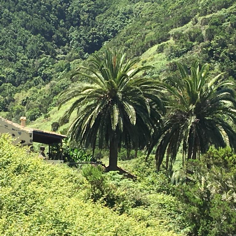 Casa Rural El Rincon De Antonia Agulo エクステリア 写真