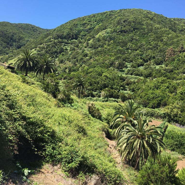 Casa Rural El Rincon De Antonia Agulo エクステリア 写真