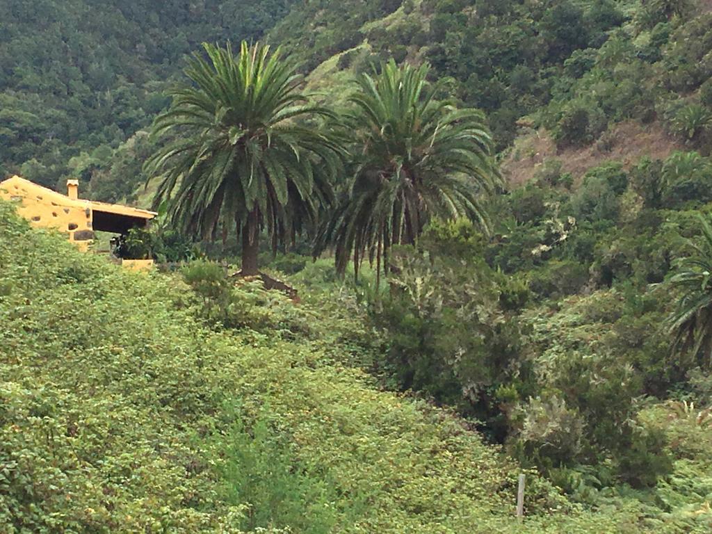 Casa Rural El Rincon De Antonia Agulo エクステリア 写真