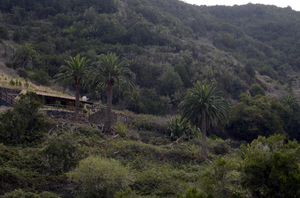 Casa Rural El Rincon De Antonia Agulo エクステリア 写真