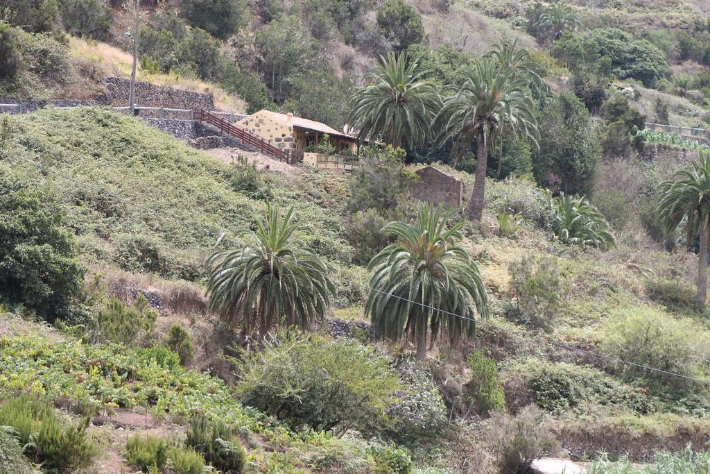 Casa Rural El Rincon De Antonia Agulo エクステリア 写真